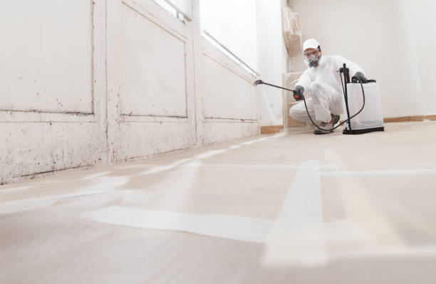 24/7 Emergency Basement Mold Remediation experts in Wayland, MA